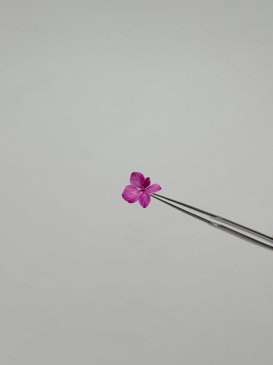 Sora Naturale | Real Pressed Hydrangea Necklace (One-of-a-Kind)