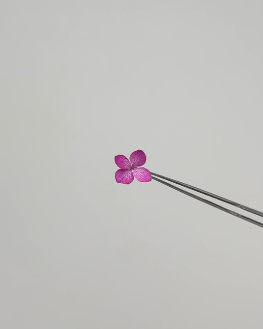 Sora Naturale | Real Pressed Hydrangea Necklace - Circular (One-of-a-Kind)