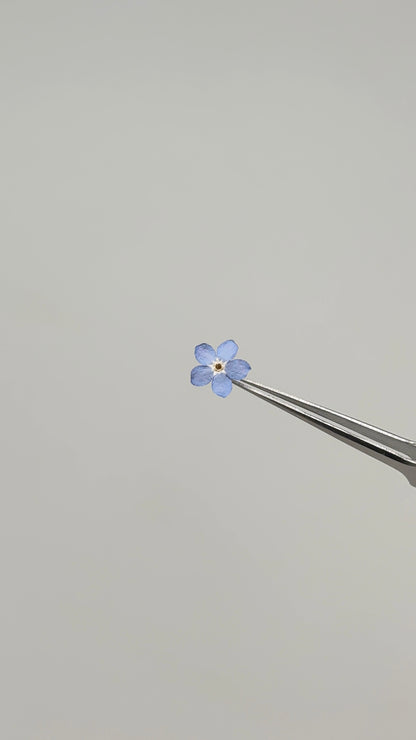 Sora Naturale | Real Pressed Forget-Me-Not Necklace - 1 cm