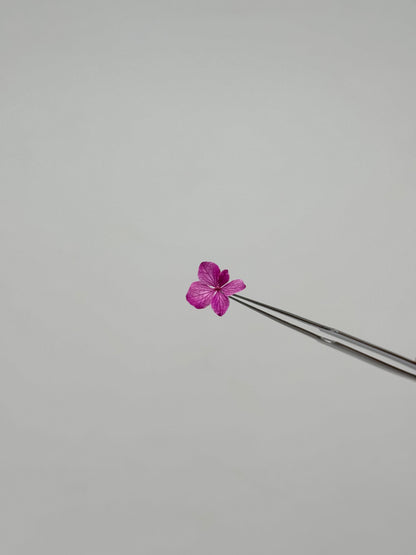 Sora Naturale | Real Pressed Hydrangea Necklace (One-of-a-Kind)