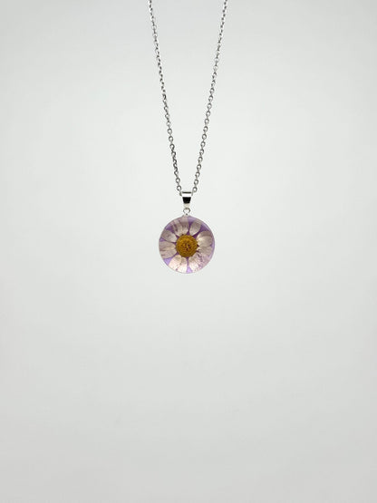Sora Naturale | Real Pressed Daisy Necklace (One-of-a-Kind)