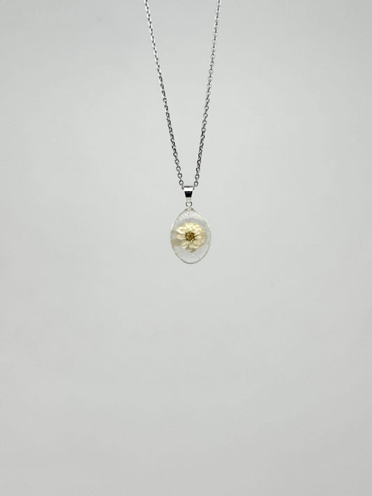 Sora Naturale | Real Pressed Pearly Everlasting Necklace