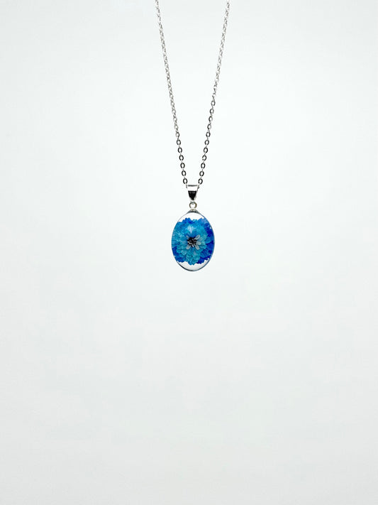 Sora Naturale | Real Pressed Blue Pearly Everlasting Oval Necklace