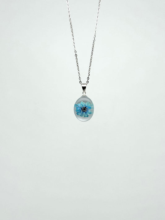Sora Naturale | Real Pressed Blue Zinnia Oval Necklace